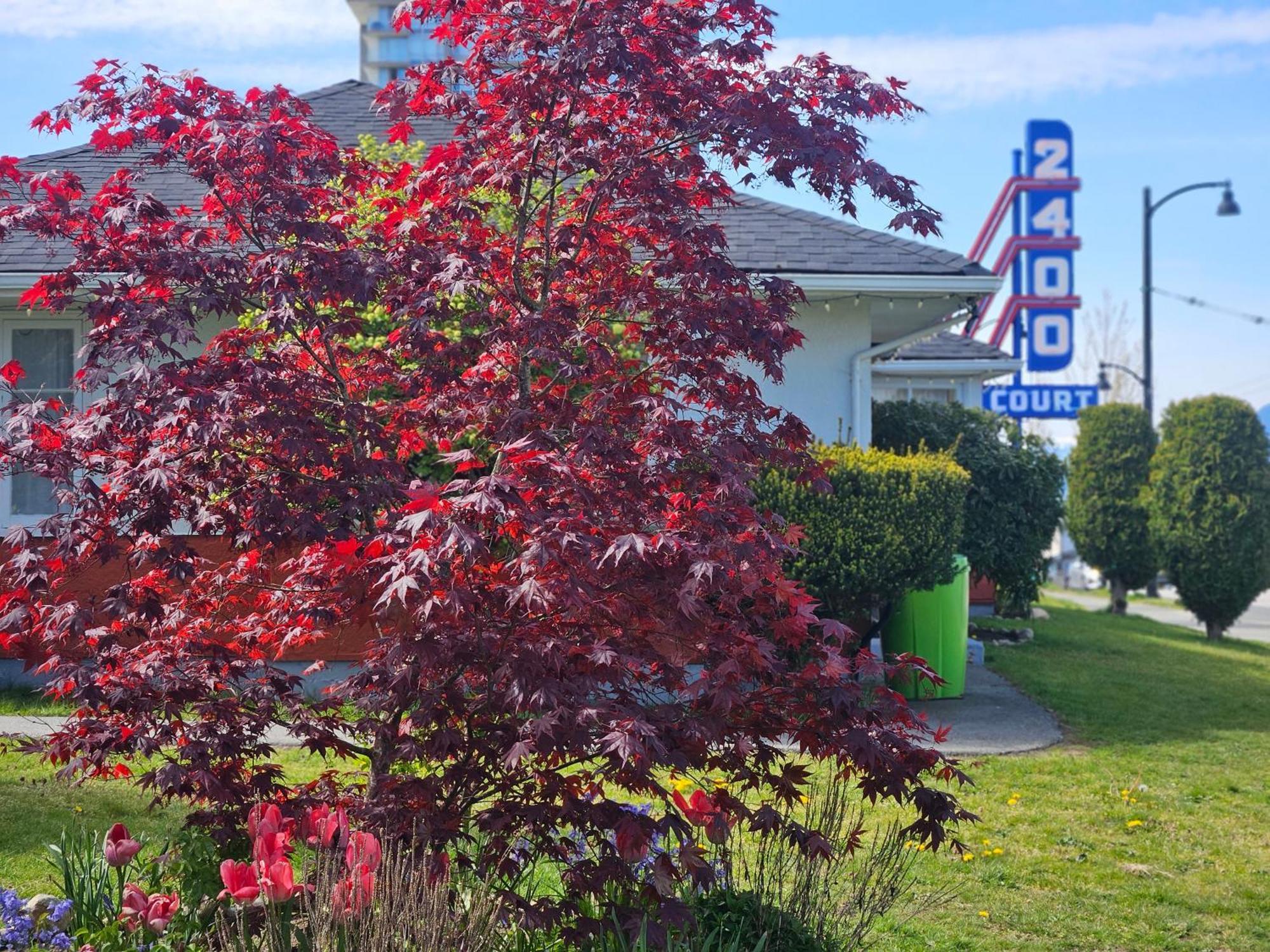 2400 Motel Vancouver Exterior foto